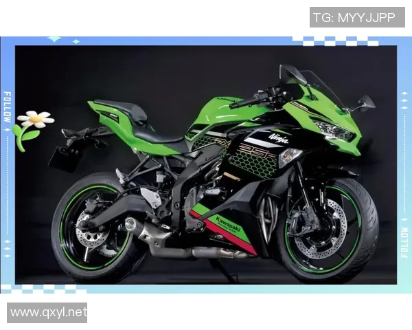 川崎先锋与新田喜悦的巅峰对决谁将赢得胜利的荣耀与未来